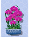 "Blue Pot Orchid BG 2020", Ann Hutchinson