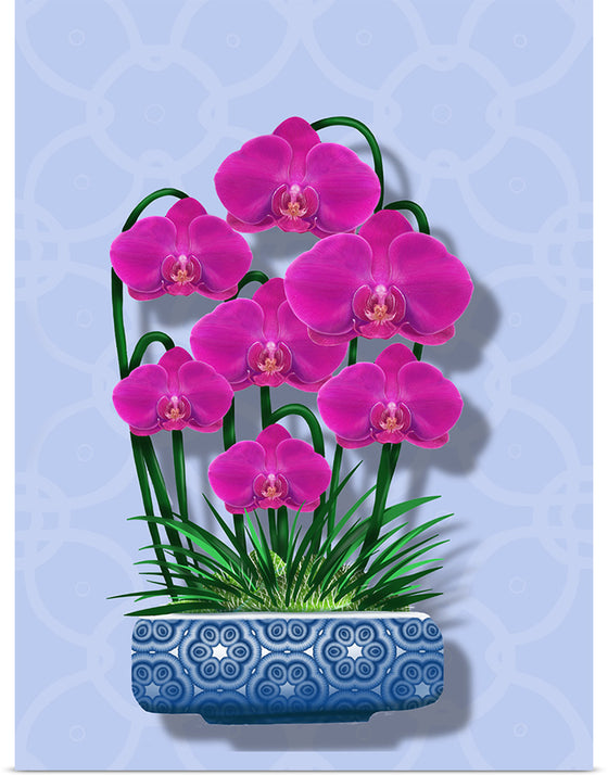 "Blue Pot Orchid BG 2020", Ann Hutchinson