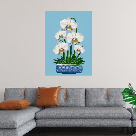 "Blue Pot White Orchid", Ann Hutchinson