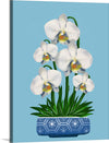 "Blue Pot White Orchid", Ann Hutchinson