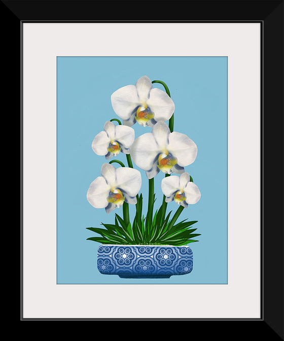 "Blue Pot White Orchid", Ann Hutchinson