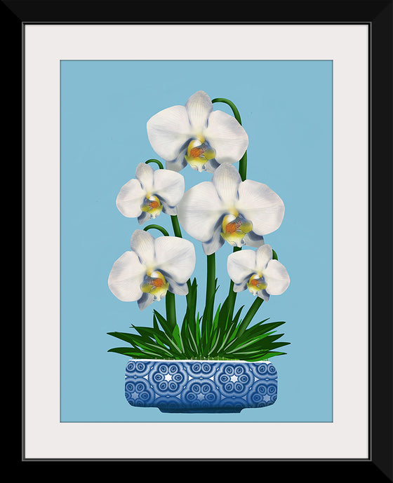 "Blue Pot White Orchid", Ann Hutchinson