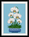 "Blue Pot White Orchid", Ann Hutchinson