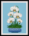 "Blue Pot White Orchid", Ann Hutchinson