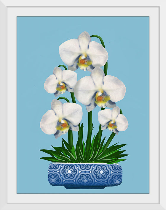 "Blue Pot White Orchid", Ann Hutchinson