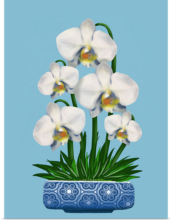 "Blue Pot White Orchid", Ann Hutchinson