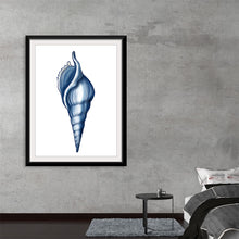  Dive into the serene beauty of the ocean with our “Hampton Tulip Shell” artwork. This exquisite print captures the intricate details and elegant curves of a tulip shell, rendered in mesmerizing shades of blue. 