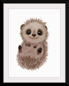 "Hannie Hedgehog NB1", Ann Hutchinson