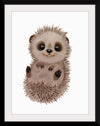 "Hannie Hedgehog NB1", Ann Hutchinson