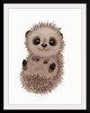 "Hannie Hedgehog NB1", Ann Hutchinson