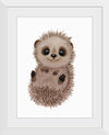 "Hannie Hedgehog NB1", Ann Hutchinson