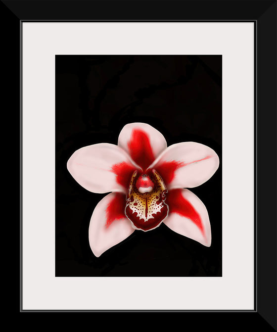 "Orchid Bloom", Ann Hutchinson