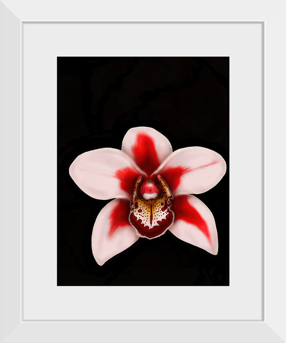 "Orchid Bloom", Ann Hutchinson