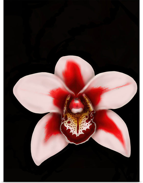 "Orchid Bloom", Ann Hutchinson