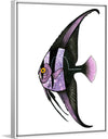 "Purple Batfish", Ann Hutchinson