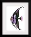 "Purple Batfish", Ann Hutchinson