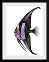 "Purple Batfish", Ann Hutchinson