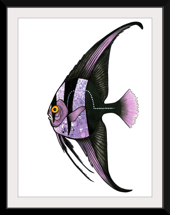 "Purple Batfish", Ann Hutchinson