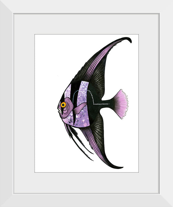 "Purple Batfish", Ann Hutchinson