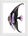 "Purple Batfish", Ann Hutchinson