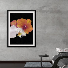  “Tangs Orchid” by Ann Hutchinson is a mesmerizing artwork that captures the ethereal beauty and intricate details of an orchid in full bloom. The print, rich with vibrant hues of orange and delicate whites, brings to life the exquisite petals and intricate patterns that make orchids a symbol of luxury, love, and strength. 