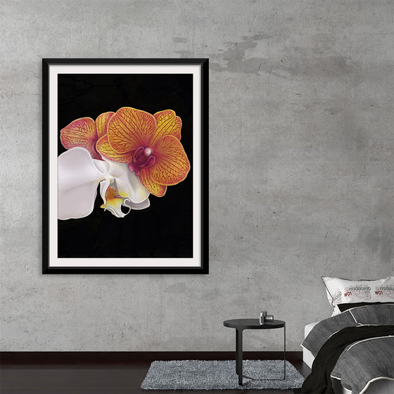 “Tangs Orchid” by Ann Hutchinson is a mesmerizing artwork that captures the ethereal beauty and intricate details of an orchid in full bloom. The print, rich with vibrant hues of orange and delicate whites, brings to life the exquisite petals and intricate patterns that make orchids a symbol of luxury, love, and strength. 