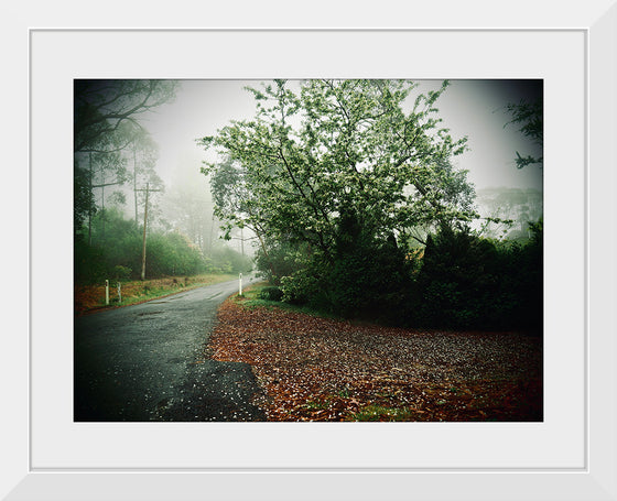 "Autumn Mist", Julie Ellitt