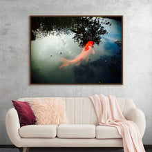  “Big Orange Koi” by Julie Elliot: Dive into the serene and mystical world of this exquisite print. Encased in a sleek black frame, it captures the graceful movement of a vibrant orange koi fish, symbolizing good fortune and perseverance, as it meanders through tranquil waters. The artwork’s rich colors and reflective elements create a mesmerizing effect that invites viewers to lose themselves in its depths. 