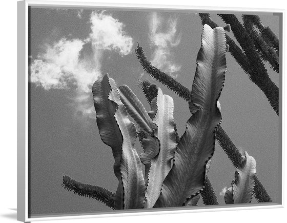 "Cactus 2", Julie Ellitt