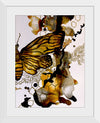 "Honey Bee Little Wing", Ky Colquhoun