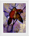 "Ladybug Little Wing", Ky Colquhoun
