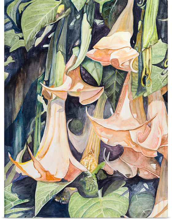 "Angel Trumpets", Marina Strijakova