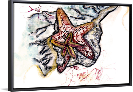 "Starfish Driftwood", Ky Colquhoun