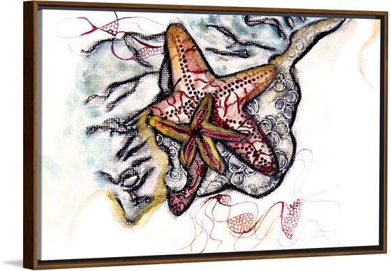 "Starfish Driftwood", Ky Colquhoun