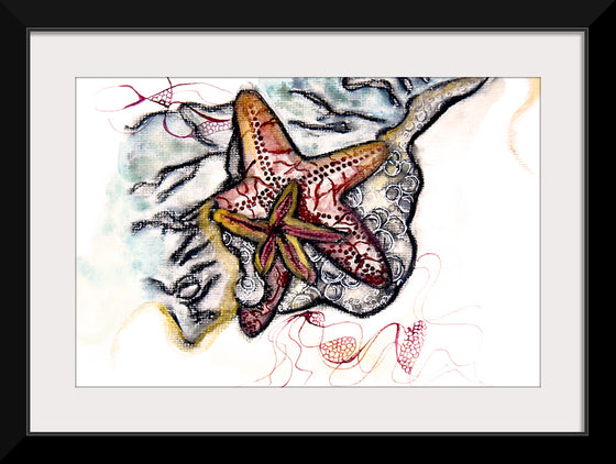 "Starfish Driftwood", Ky Colquhoun