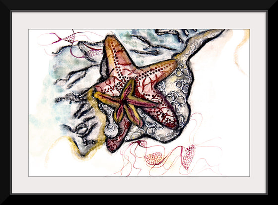 "Starfish Driftwood", Ky Colquhoun