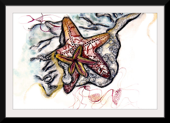 "Starfish Driftwood", Ky Colquhoun