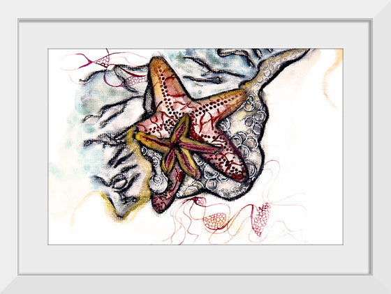 "Starfish Driftwood", Ky Colquhoun