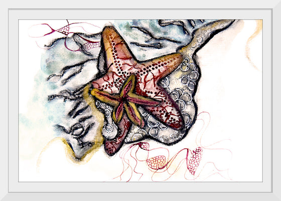 "Starfish Driftwood", Ky Colquhoun