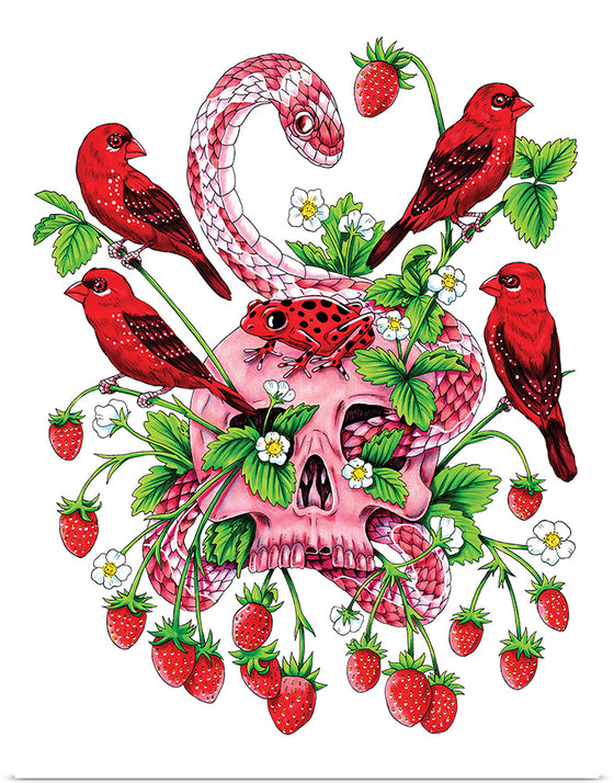 "Strawberry Skull", Marta Tesoro