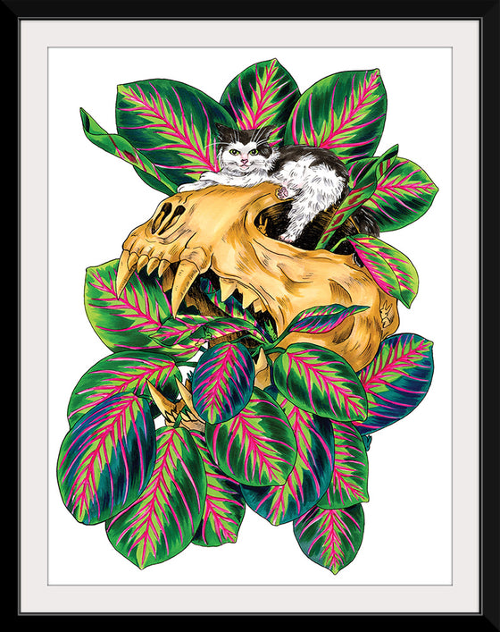 "Prayer Plant Cat", Marta Tesoro