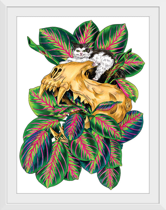 "Prayer Plant Cat", Marta Tesoro