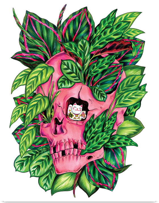 "Lucky Cat Calathea", Marta Tesoro