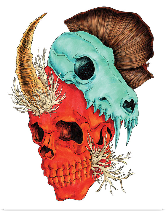 "Horned Skull", Marta Tesoro