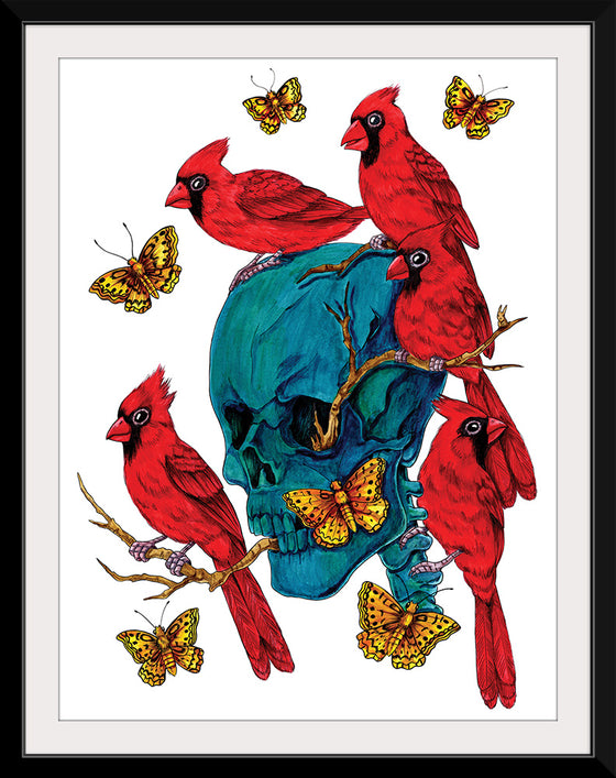 "Cardinals", Marta Tesoro
