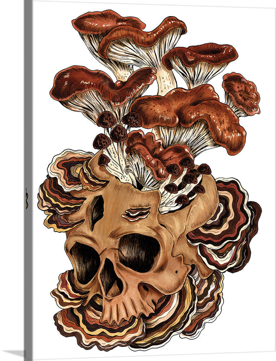 "Brown Mushroom", Marta Tesoro