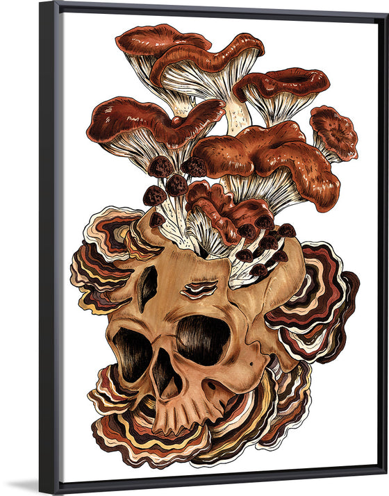 "Brown Mushroom", Marta Tesoro