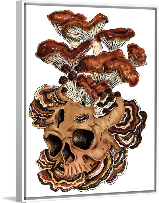 "Brown Mushroom", Marta Tesoro