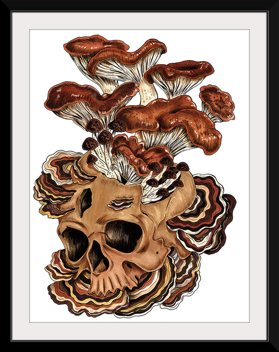 "Brown Mushroom", Marta Tesoro