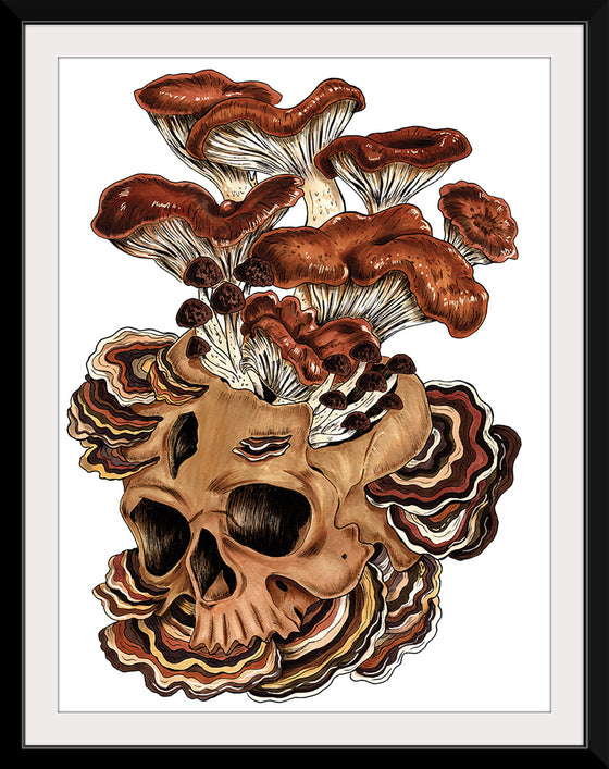 "Brown Mushroom", Marta Tesoro